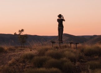 Welcome To The Jungle: The African Safari’s Lessons on Life and Love safari