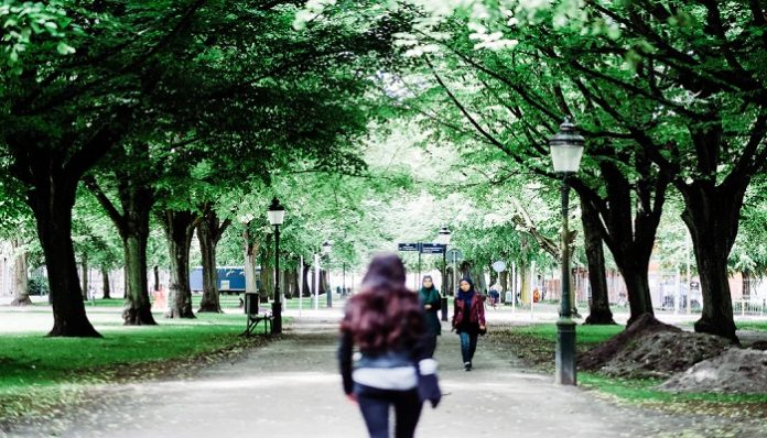 walking to class
