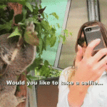 khloe gif