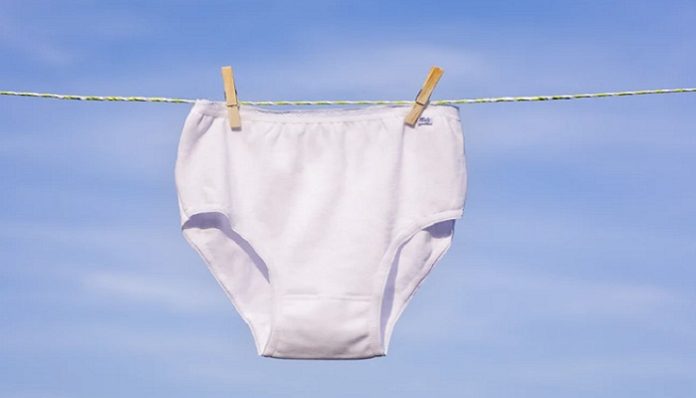granny panties