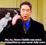 homohabilis