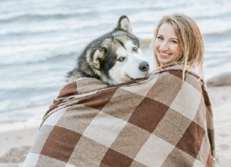 8 Undeniable Reasons You Should Date A Dog Person