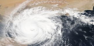 Florida Hurricane Radar Goes Viral Because It Looks Like A Penis