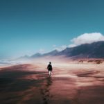 pexels-tom-swinnen-934718