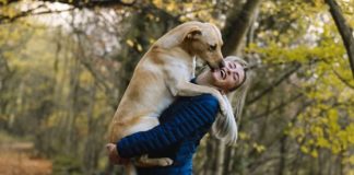 10 Reasons Dogs Will Always Be Better Than A Guy