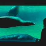 aquarium