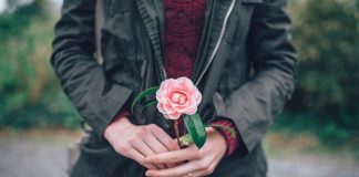 6 Creative Uses For Your Old Valentine’s Day Roses