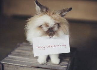 7 Ways You Can Celebrate Valentine’s Day On A Budget