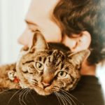 pets