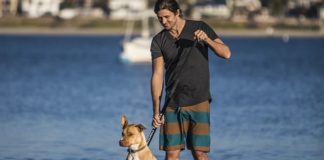 Amelia Island: The Best Place To Vacation With Your Dog