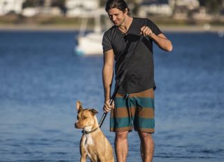 Amelia Island: The Best Place To Vacation With Your Dog