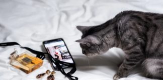 Here’s How Social Media May Be Affecting Your Mental Health