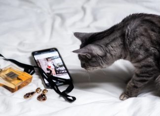 Here’s How Social Media May Be Affecting Your Mental Health