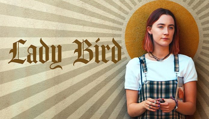 ladybird