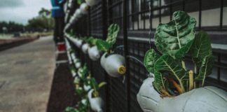 5 Little Changes You Can Make To Live A Greener Life