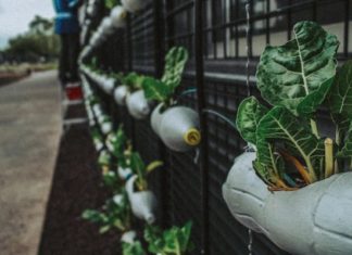 5 Little Changes You Can Make To Live A Greener Life