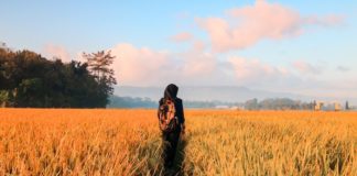 Why You Should Make 2018 The ‘Year Of Growth’