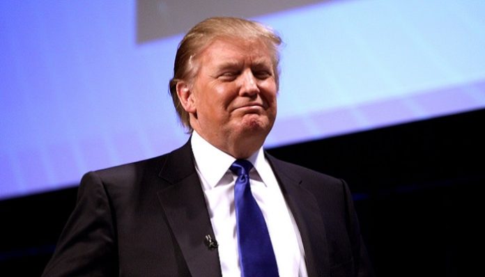 donaldzisko