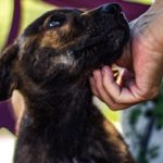 madeline-bowen-O3L9n7_QI70-unsplash