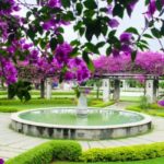 manikandan-annamalai-XEBASsgifEc-unsplash