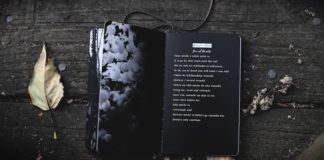 16 Poems In Honor Of National Poem In Your Pocket Day
