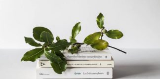 Why The ‘Hot Mess’ Needs To Be On Your Summer Reading List