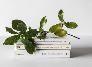 Why The ‘Hot Mess’ Needs To Be On Your Summer Reading List