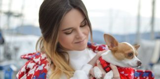 Why ‘Take Your Dog To Work Day’ Should Be Celebrated Every Day