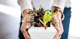5 Reasons You Need To Jump On The Succulent Bandwagon