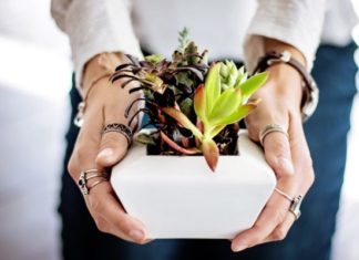 5 Reasons You Need To Jump On The Succulent Bandwagon