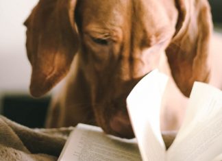 10 Reasons Books Are Better Than Humans
