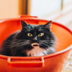 marina-khrapova-670759-unsplash
