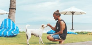 Why I’ll Never Date A Guy Who Owns A Dog Ever Again