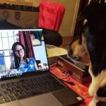 dog-skype resized