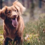 jamie-street-562280-unsplash