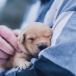 lydia-torrey-563689-unsplash