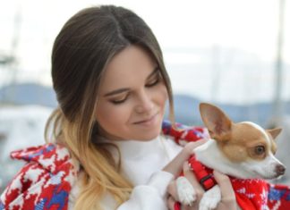 5 Special Ways You Can Treat Your Pet This Month