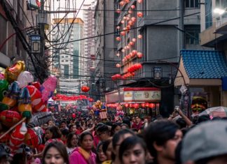 2019 Is The Year Of The Pig: What Does That Mean?