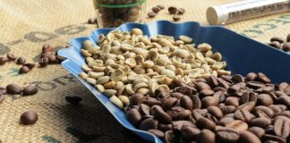 Get A Healthier Brew By Trying Green Coffee Beans