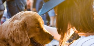 How A Pet Can Help You Work Through Your Anxiety