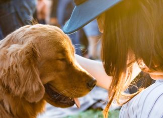 How A Pet Can Help You Work Through Your Anxiety