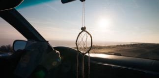 7 Useful Tips For A Road Trip With Your Pet
