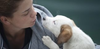11 Things You’ll Only Understand If You’re A Dog Lover