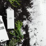 boxed-water-is-better-1463960-unsplash