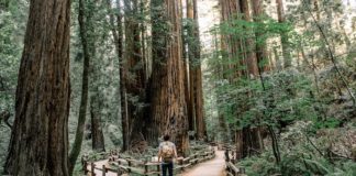 4 Trending Health & Wellness Activities You Need to Try