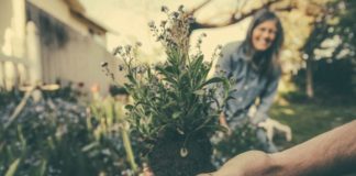 5 Gardens You Should Visit On Garden Meditation Day