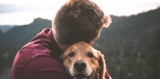 8 Instagram Accounts You Need To Follow On National Pet Day