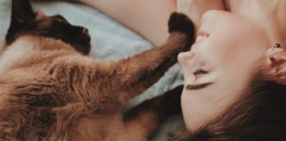 5 Reasons Being A Cat Lady Is Good For Your Health