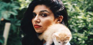 Why ‘Catios’ Are The Latest Must-Have Item For Cat Parents