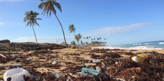 Reduce Your Carbon Footprint With These 10 Recycled Products